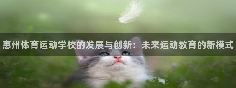 JJB竞技宝官网下载招商电话地址查询：惠州体育运动学