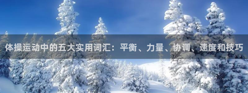 JJB竞技宝官方正版app五金厂：体操运动中的五大实