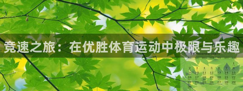 JJB竞技宝官网下载招商电话是多少：竞速之旅：在优胜