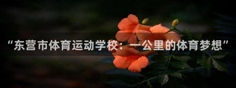 JJB竞技宝官网下载平台是正规平台吗安全吗：“东营市体育运动