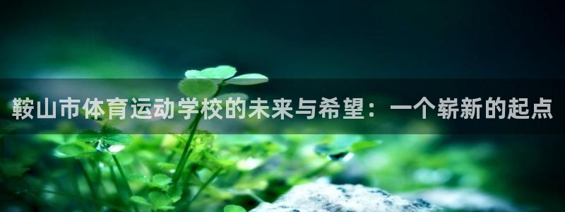 JJB竞技宝官网下载平台注册要钱吗：鞍山市体育运动学