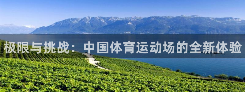 JJB竞技宝官网下载平台是正规平台吗知乎：极限与挑战