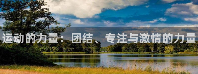 JJB竞技宝官网下载官方客服电话：运动的力量：团结、
