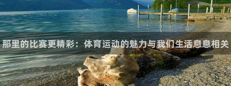 海南JJB竞技宝官网下载：那里的比赛更精彩：体育运动