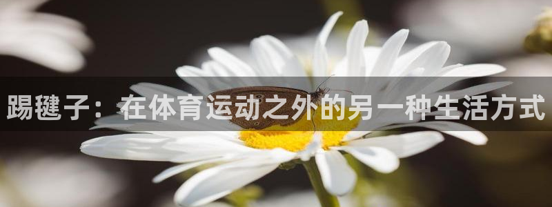 JJB竞技宝官方正版app娱乐40996：踢毽子：在