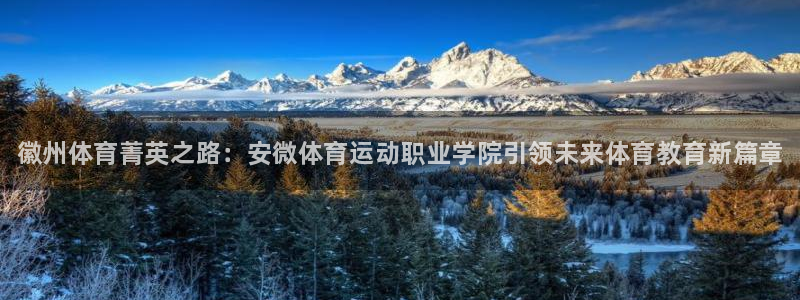JJB竞技宝官方正版app娱乐平台：徽州体育菁英之路
