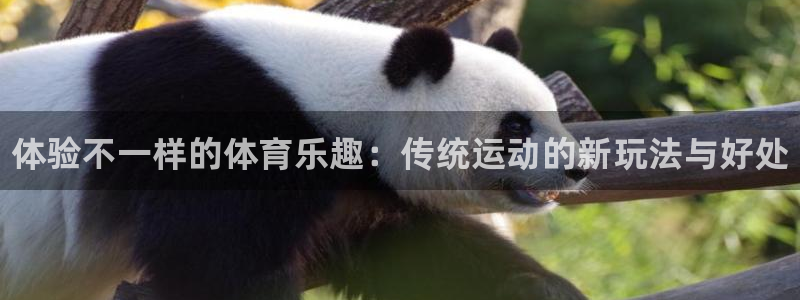JJB竞技宝官方正版app娱乐网站：体验不一样的体育