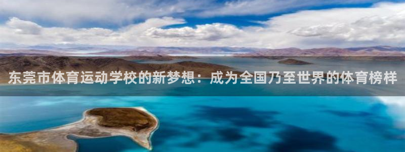 JJB竞技宝官网下载平台注册流程视频：东莞市体育运动