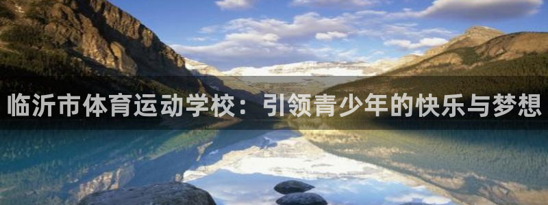 JJB竞技宝官方正版app娱乐是那个系列的台子：临沂