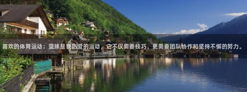 JJB竞技宝官网下载招商电话：喜欢的体育运动：篮球是