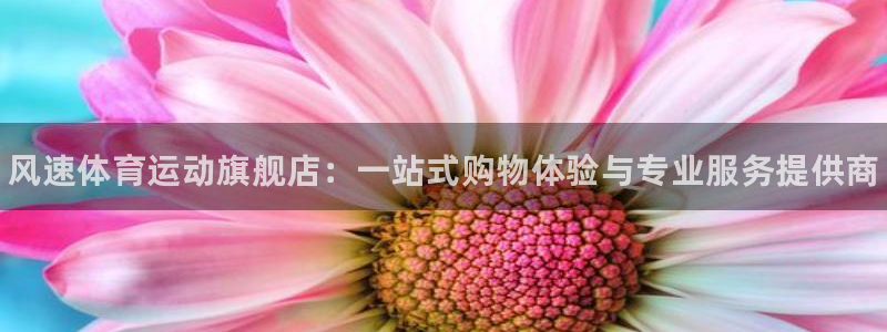 JJB竞技宝官网下载平台：风速体育运动旗舰店：一站式