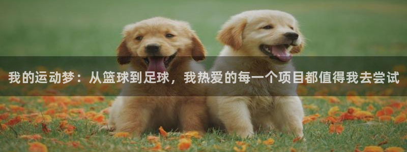 JJB竞技宝官网下载平台是正规平台吗知乎：我的运动梦