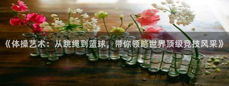 JJB竞技宝官方正版app开户：《体操艺术：从跳绳到