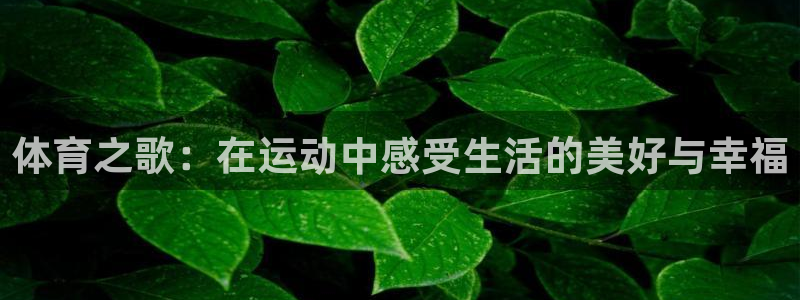 JJB竞技宝官方正版app娱乐：体育之歌：在运动中感