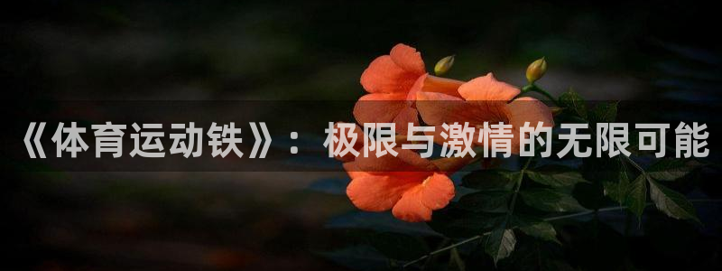 JJB竞技宝官网下载招商电话号码查询