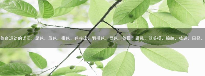 注册JJB竞技宝官方正版app：体育运动的词汇：足球、篮球、