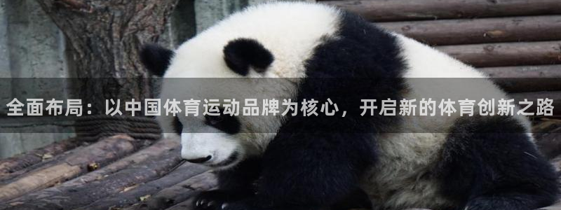 JJB竞技宝官方正版app集团logo：全面布局：以