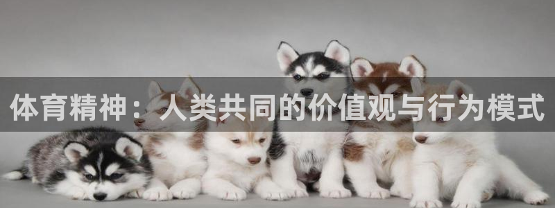 JJB竞技宝官方正版app集团官网网址：体育精神：人类共同的