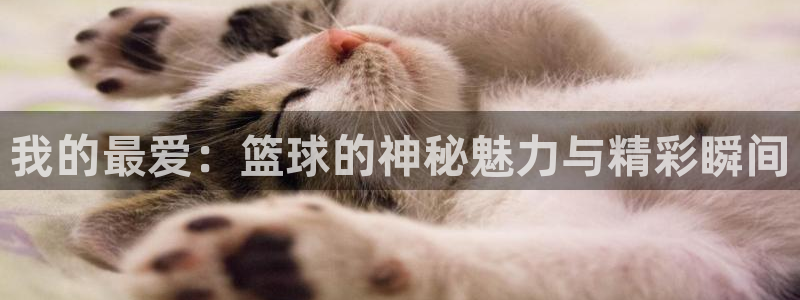 JJB竞技宝官方正版app娱乐首页官网下载：我的最爱