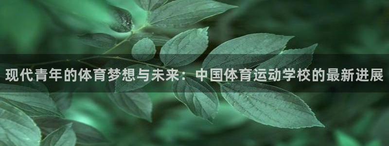 JJB竞技宝官网下载平台假的吗是真的吗吗：现代青年的体育梦想
