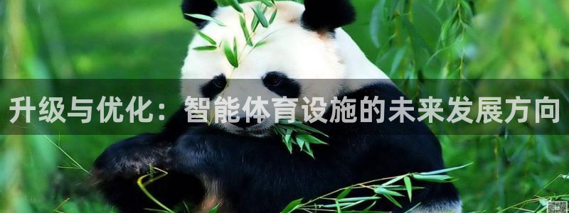 JJB竞技宝官网下载注册：升级与优化：智能体育设施的未来发展