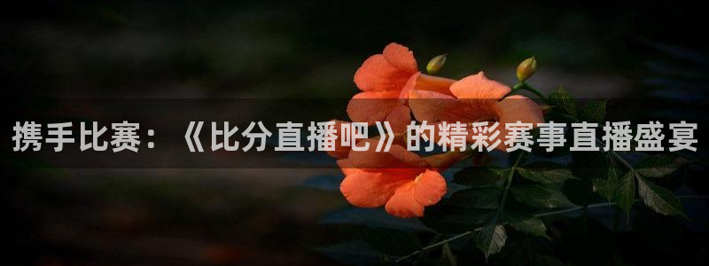 极速体育直播：携手比赛：《比分直播吧》的精彩赛事直播盛宴