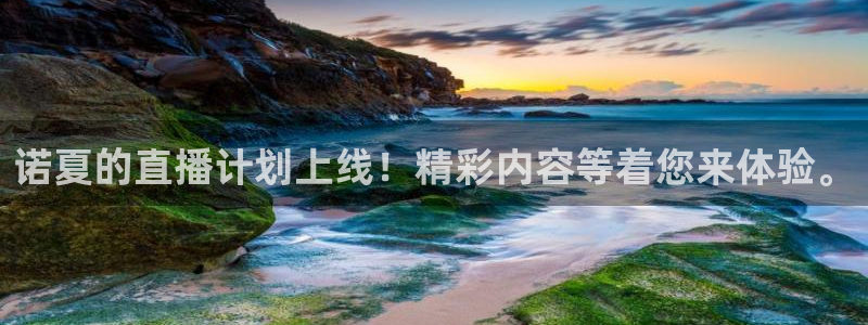 体育吧 极速体育 足球直播：诺夏的直播计划上线！精彩内容等着您来体验。