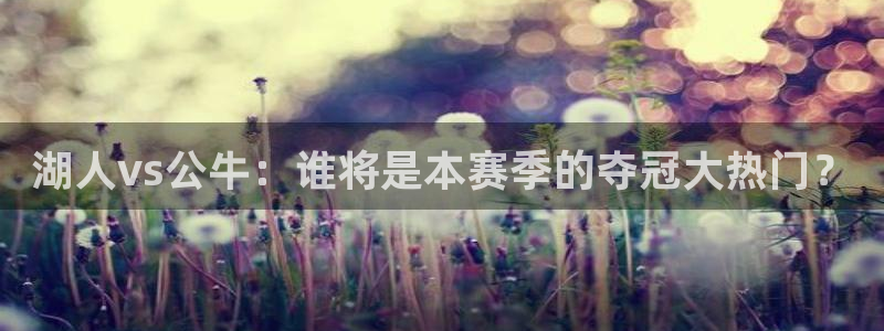 极速体育直播吧在线观看免费视频：湖人vs公牛：谁将是本赛季的夺冠大热门？