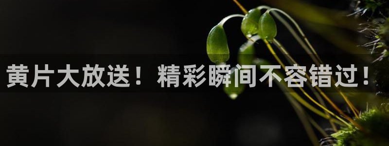 极速体育nba直播吧：黄片大放送！精彩瞬间不容错过！